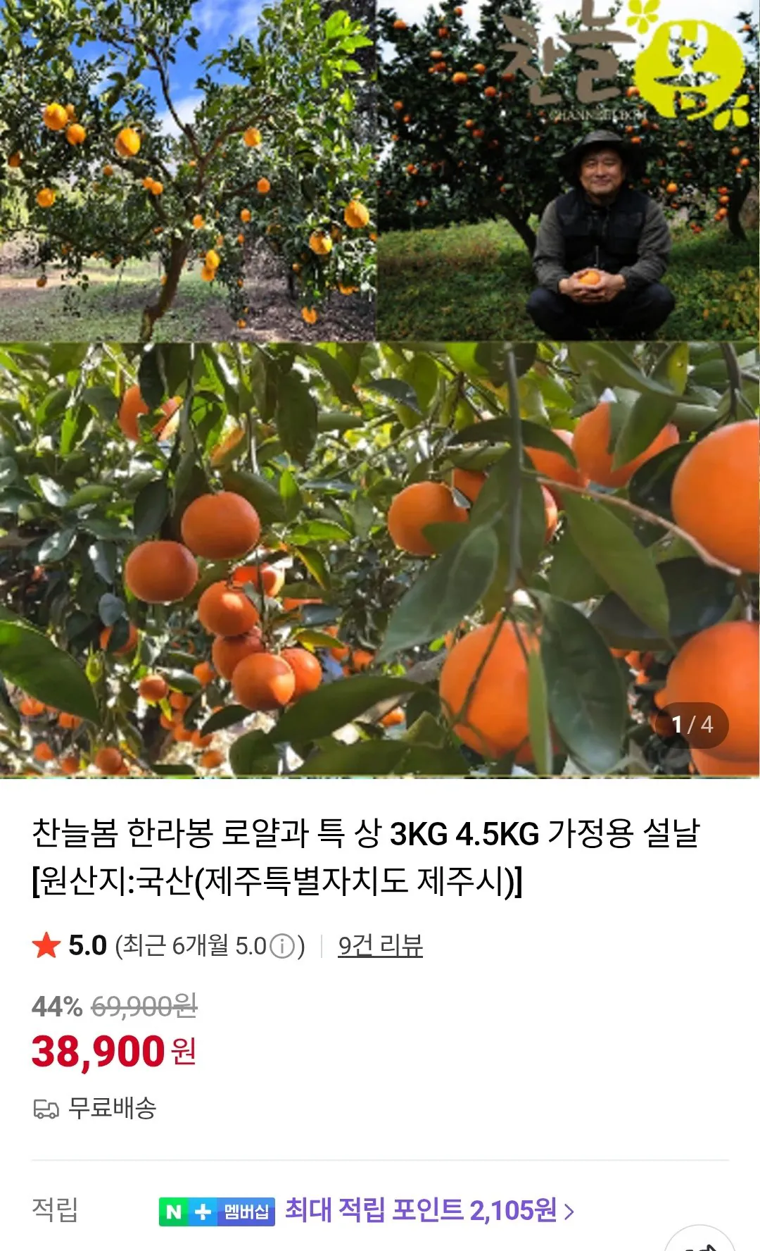한라봉 + 레드향 4.5KG 로얄과