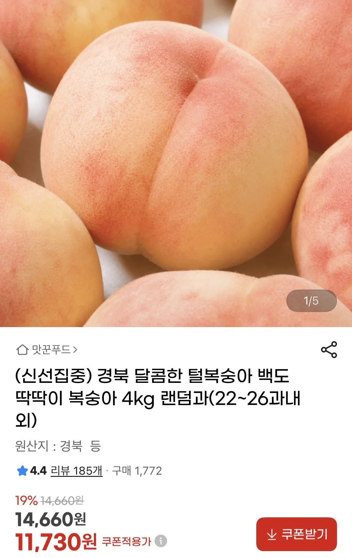딱딱이 백도복숭아 4KG (22~26과)