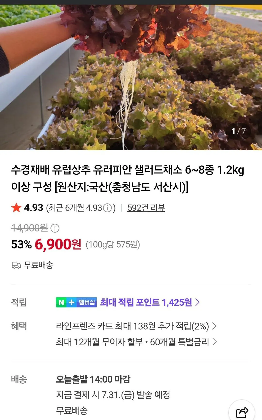 유러피언 샐러드 6-8종 1.2kg