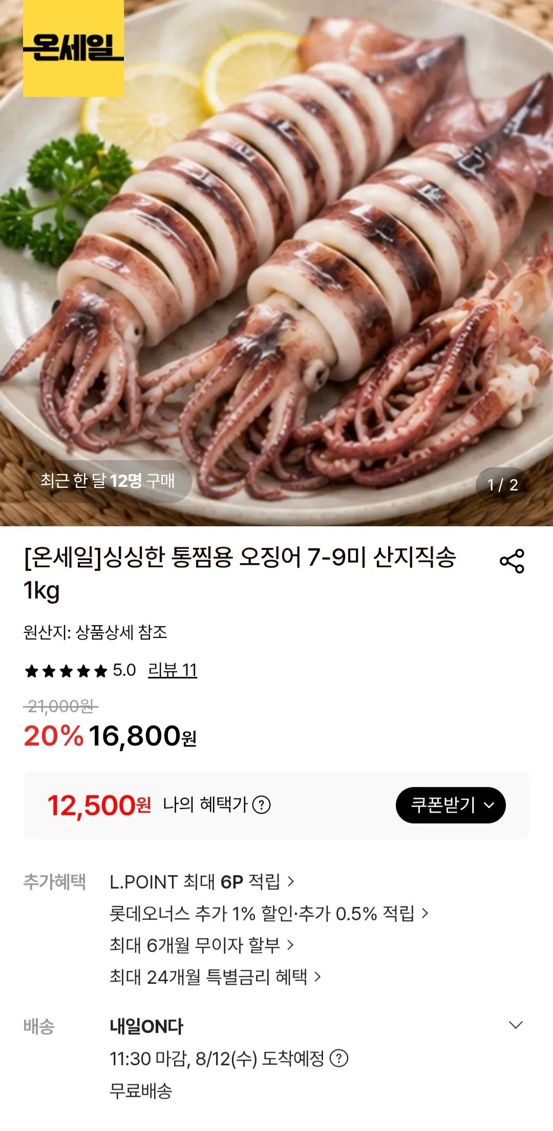 통찜용 오징어 1kg